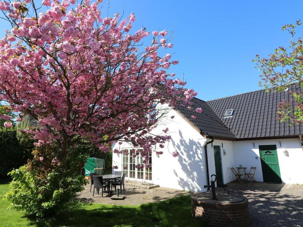 In Morsum Sylt With Wi-fi Ferienhaus
